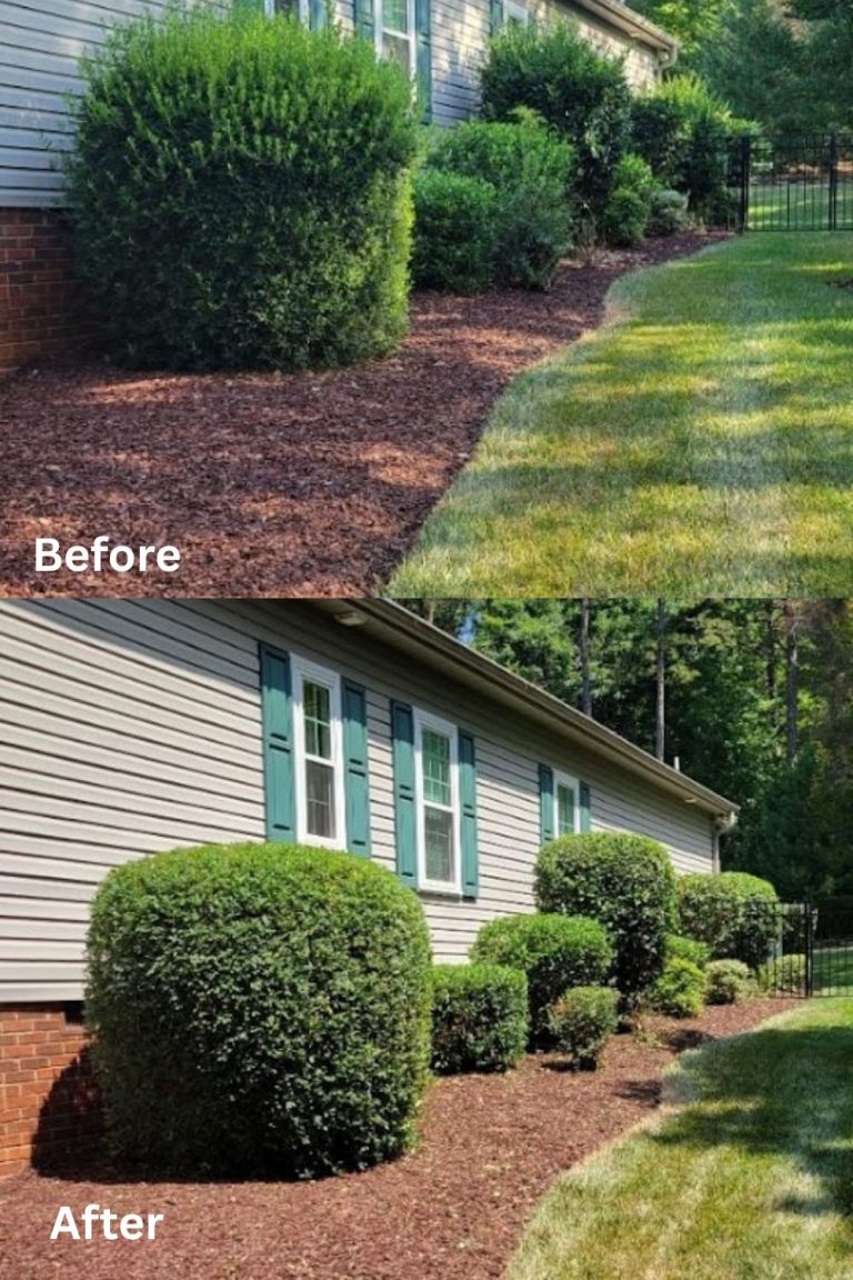 Bush Trimming - Rojas Landscaping & Lawn Care Services Mooresville NC
