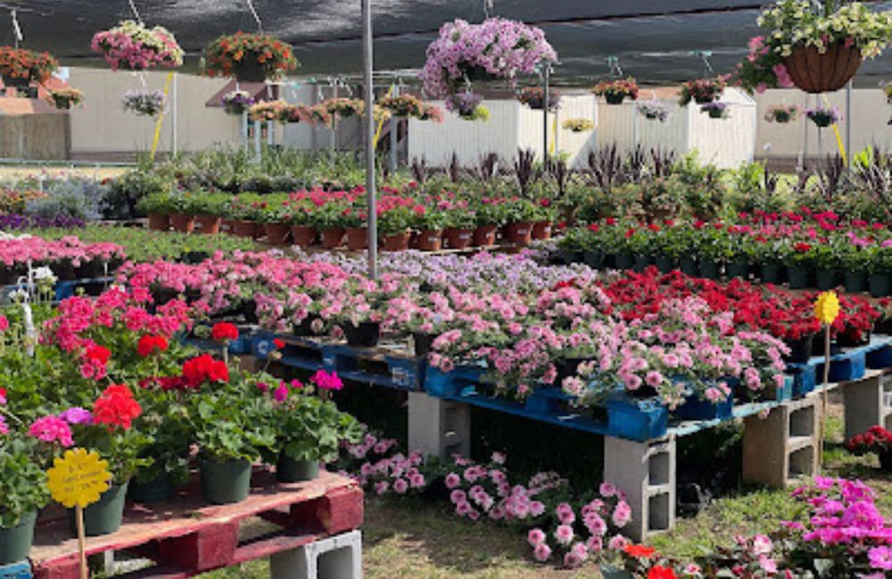 Josh's Farmers Market